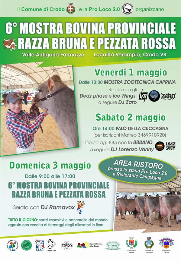 Locandina della 6° Mostra Bovina Provinciale Razza Bruna e Pezzata Rossa Valle Antigorio Formazza